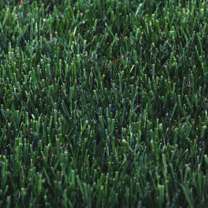 photo-1527475549522-94b2a376ce13 photo-1527475549522-94b2a376ce13